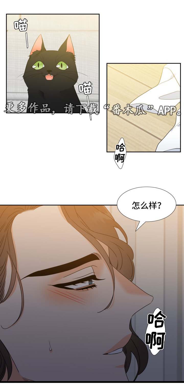 第41章：还没结束2