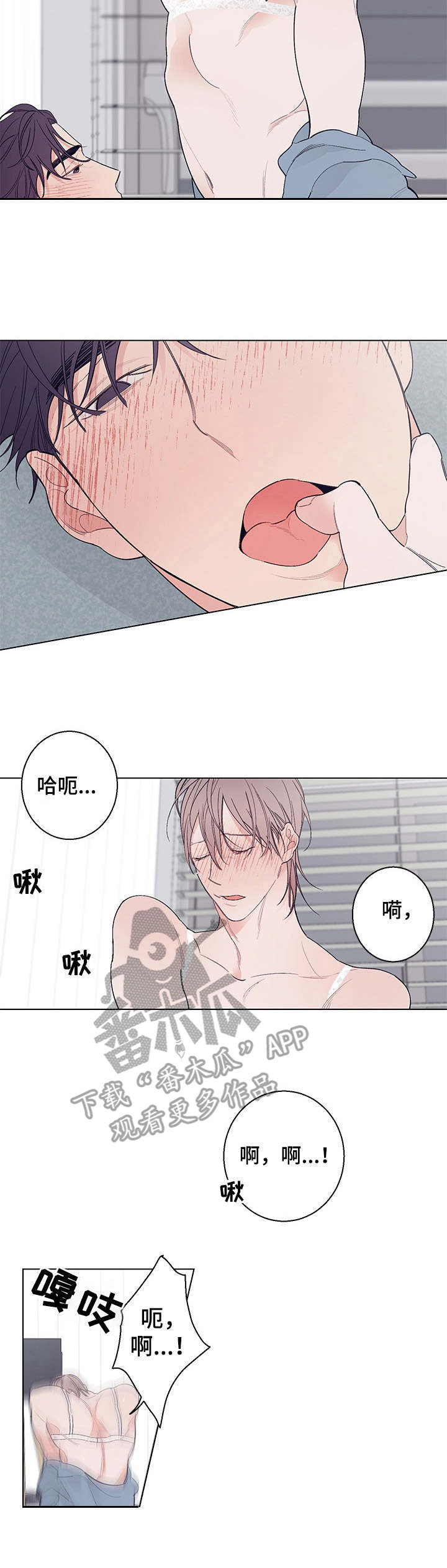 第17章：很喜欢（完结）2