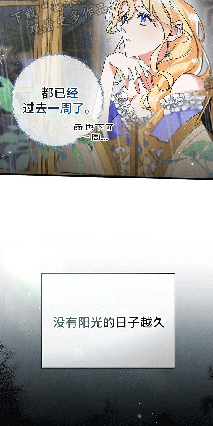 第5章：计划书1