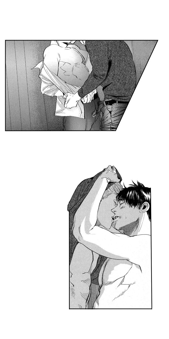 第22章：未来的打算0