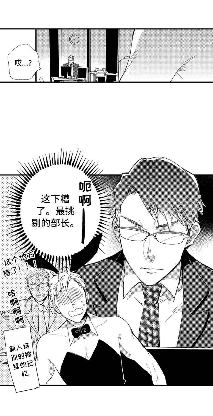 第1章：兔女郎4