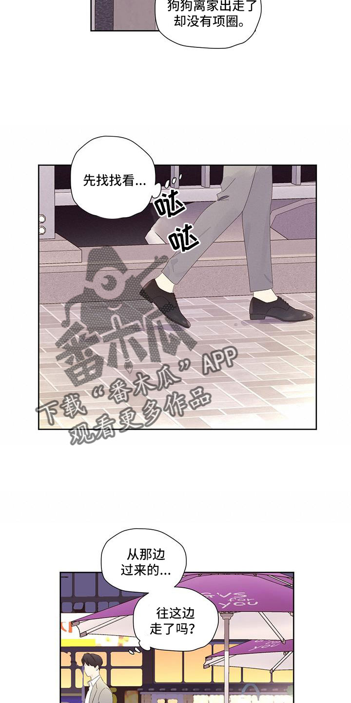 第145章：【第二季】没有项圈的狗1