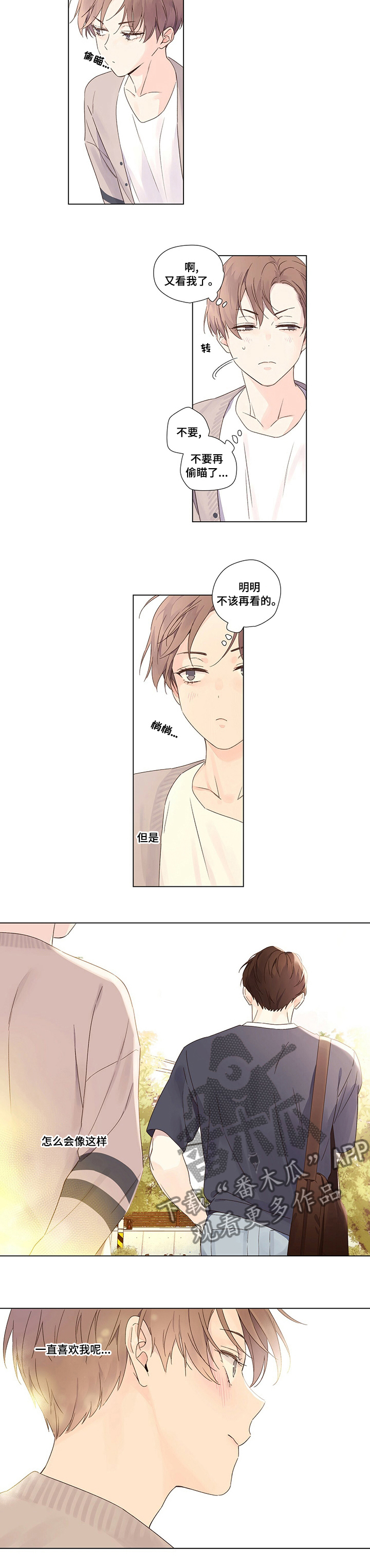 第58章：一直喜欢我4