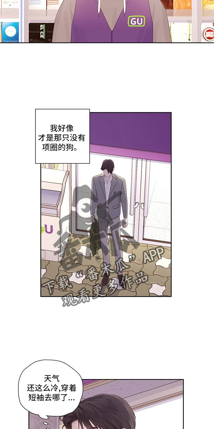 第145章：【第二季】没有项圈的狗3