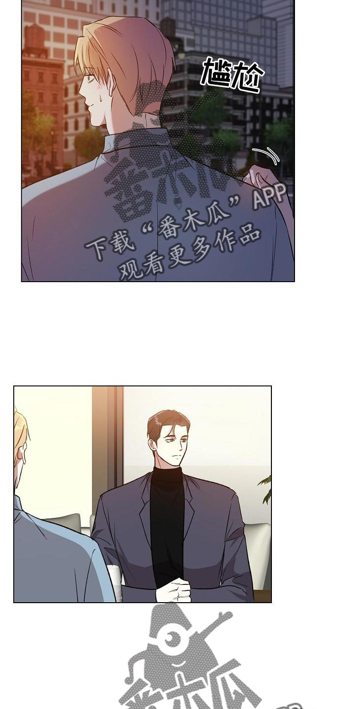 第20章：替代品3