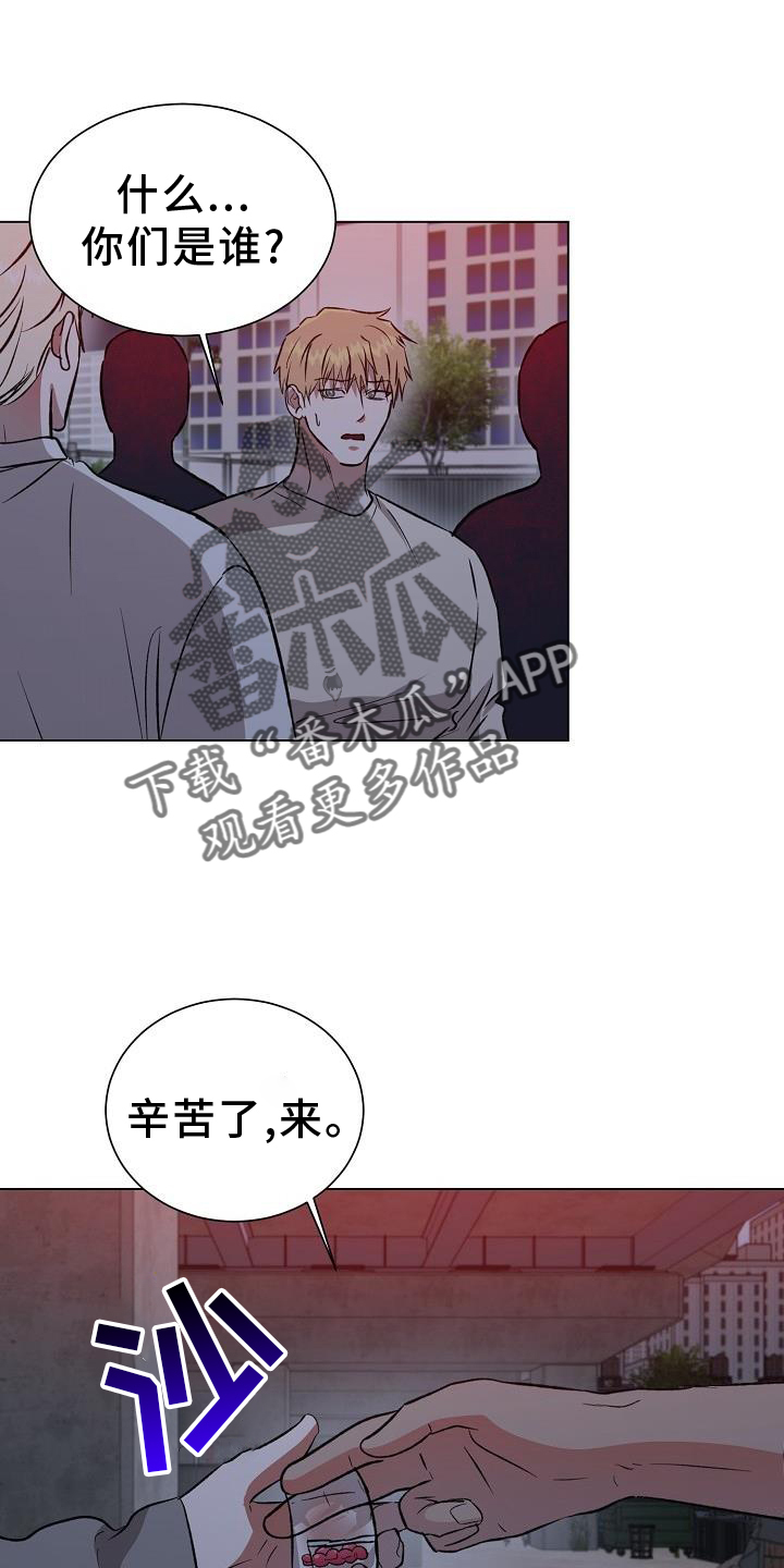 第48章：物以类聚3