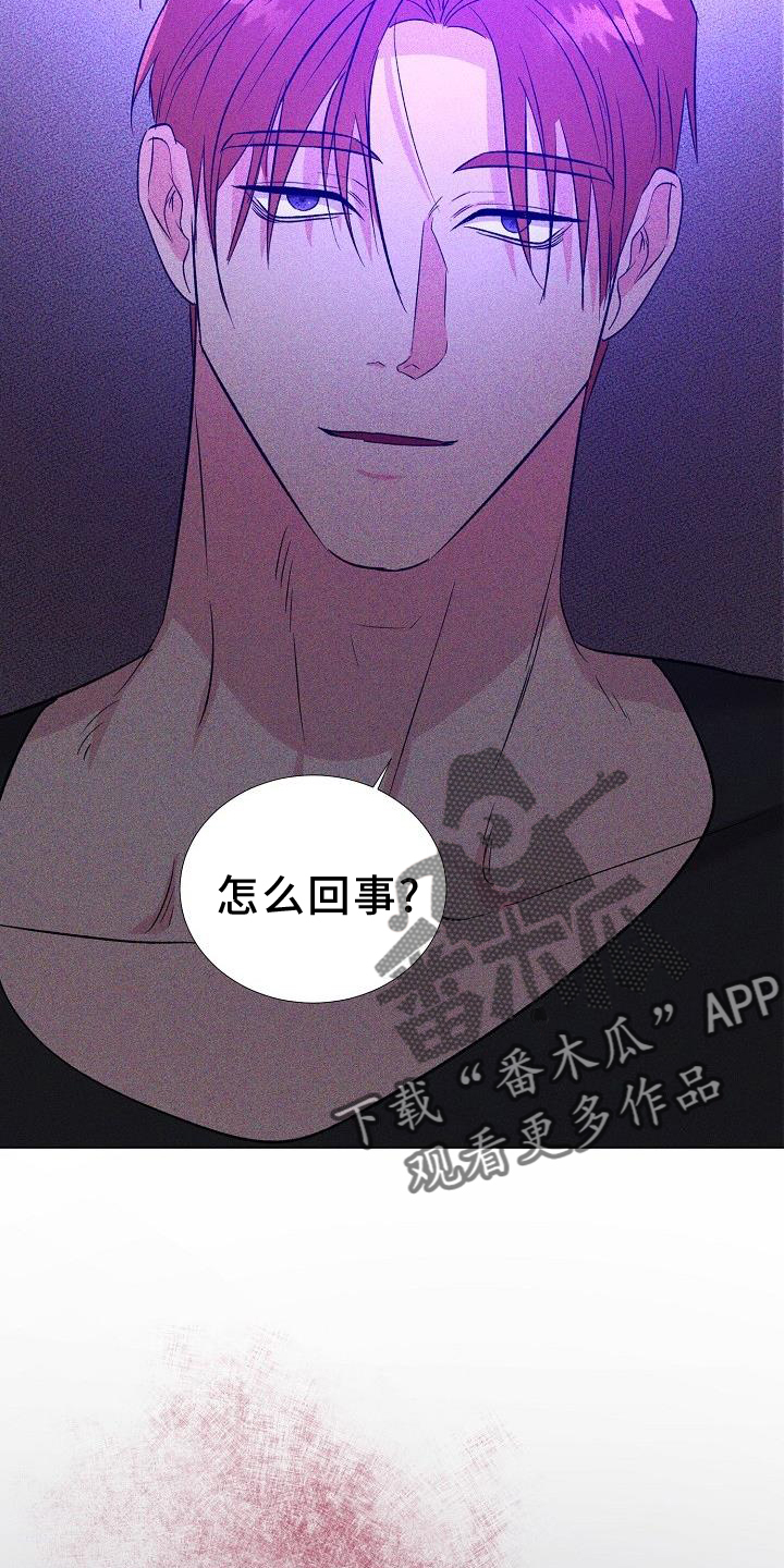 第40章：我喜欢你1