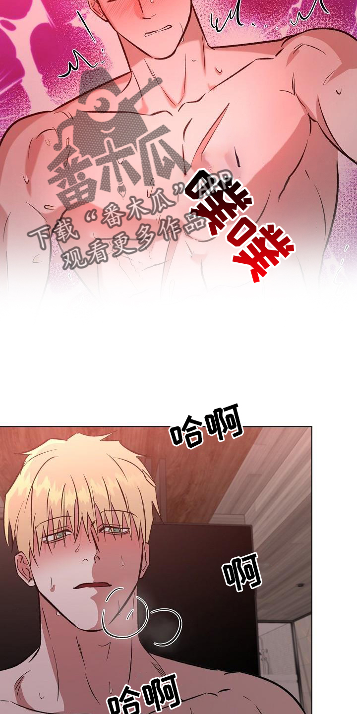 第60章：直到永远【完结】1