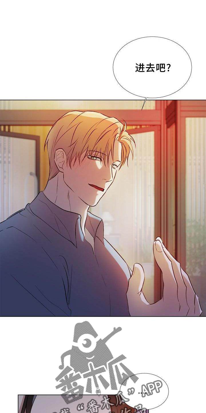 第20章：替代品1