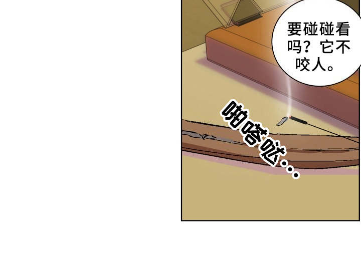 第7章：联系你4