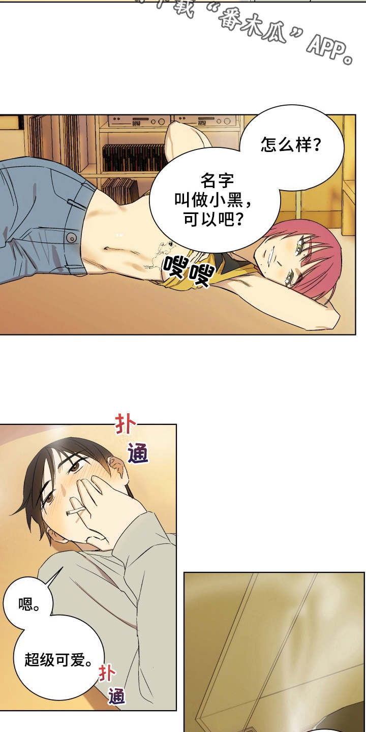 第7章：联系你3