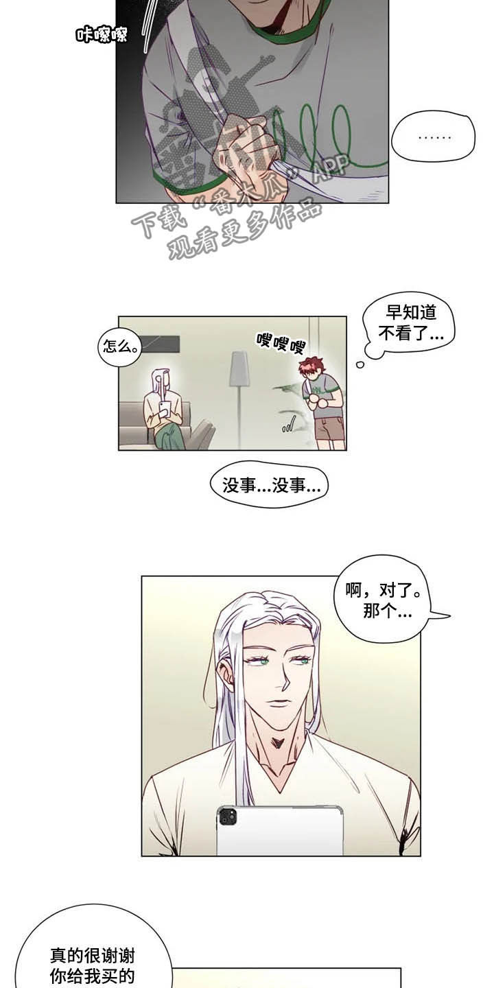 第11章：特别的存在1