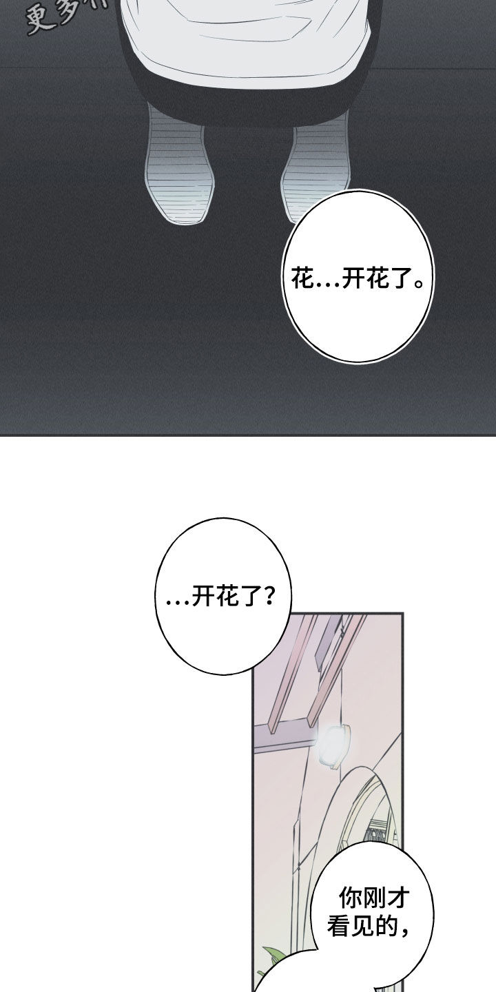 第27章：转世体1