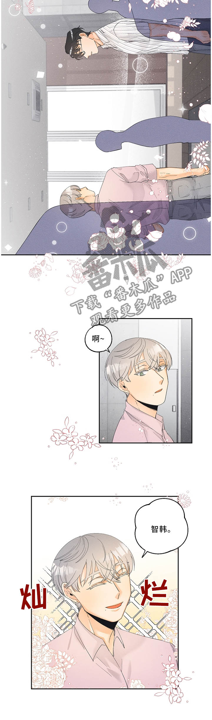 第31章：是偶然也是缘分2