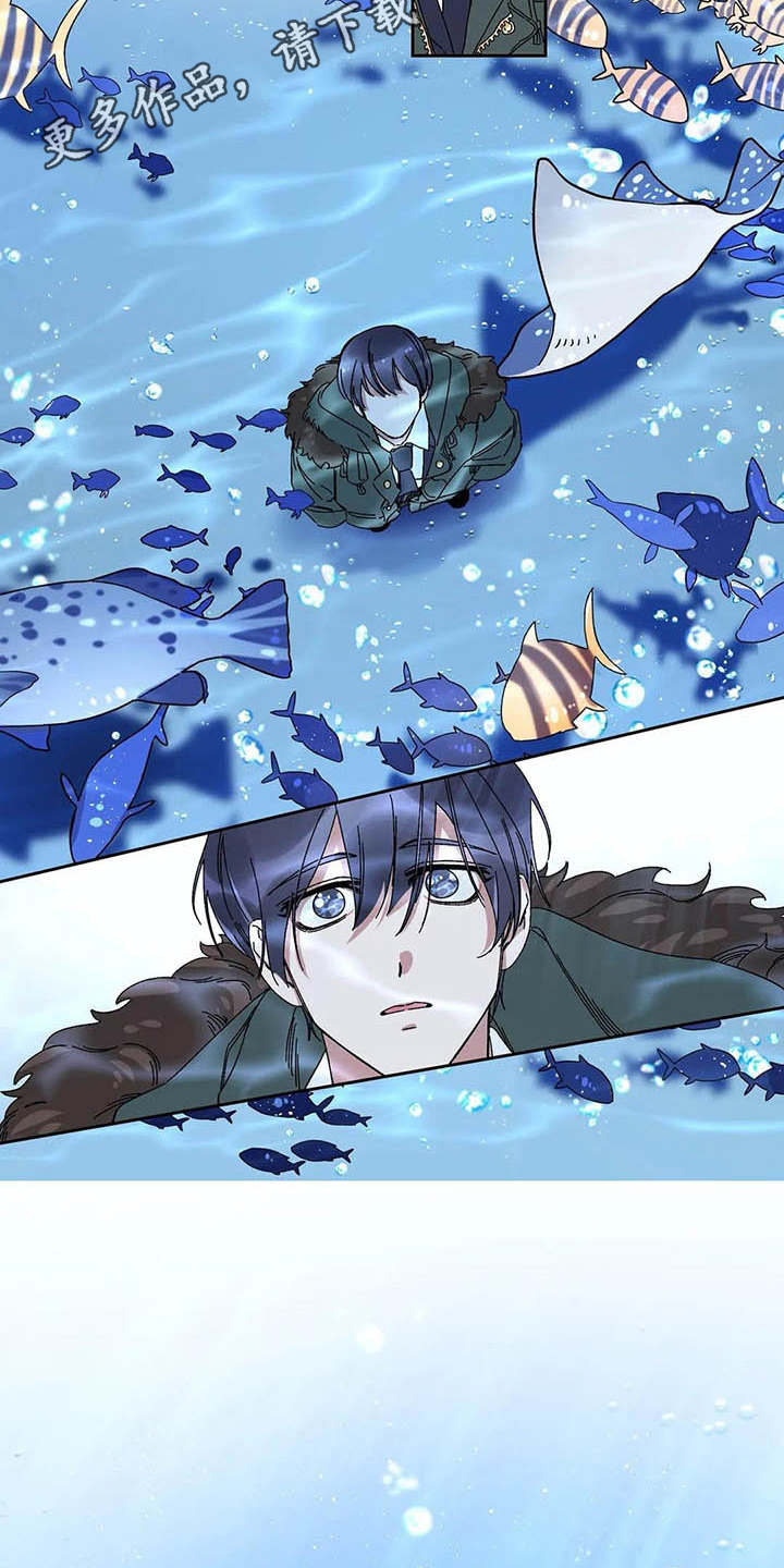 第6章：水族馆3