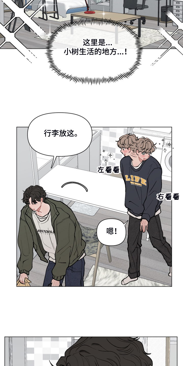 第64章：【第二季】小树的家3