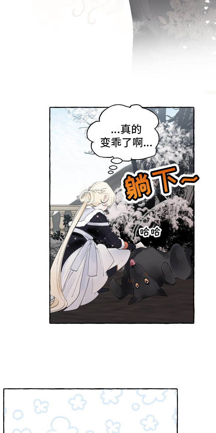 第12章： 另外的祭品2