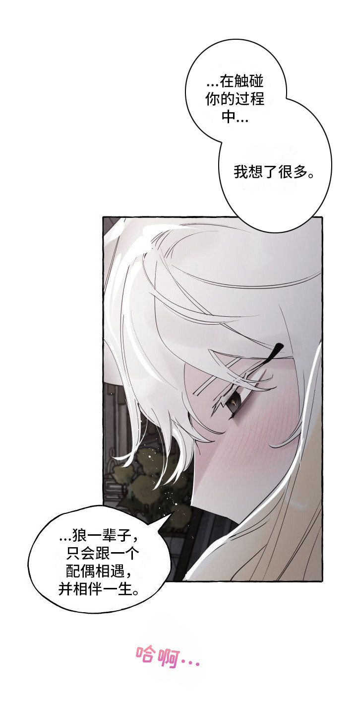 第20章：我的春天（完结）0