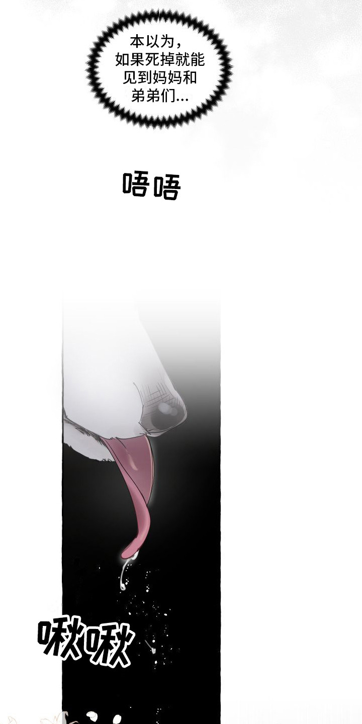 第4章：还活着3