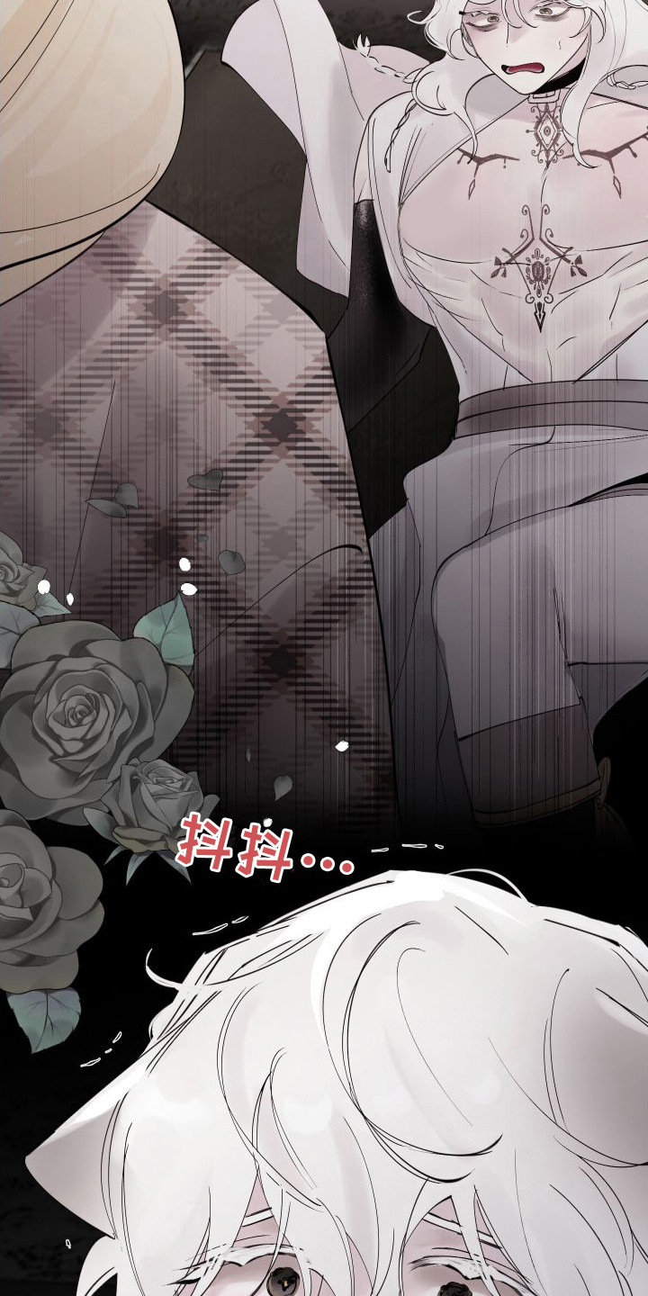 第17章：步步紧逼3