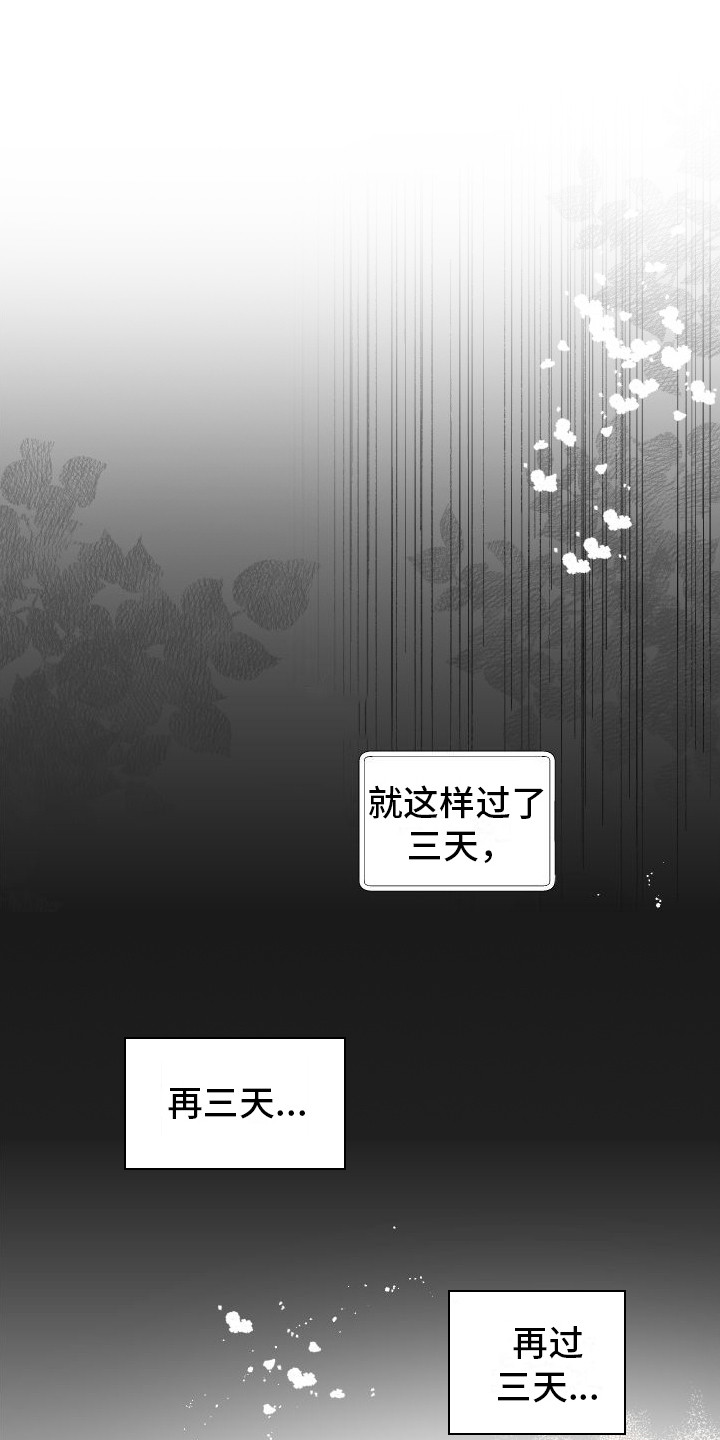 第12章： 另外的祭品0