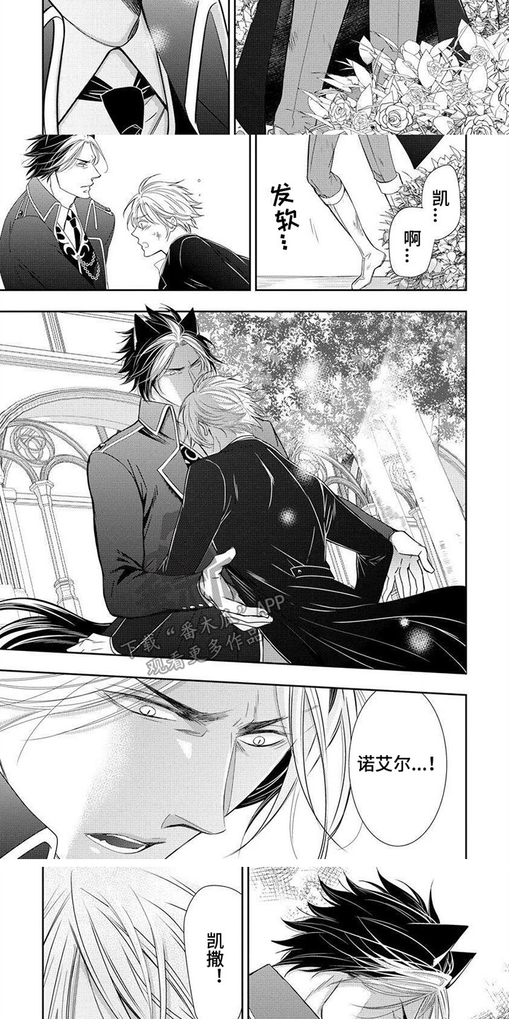 第17章：主动回来2