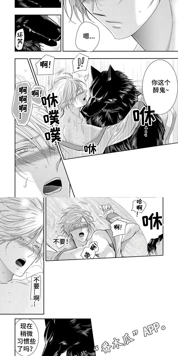 第11章：有趣的点3