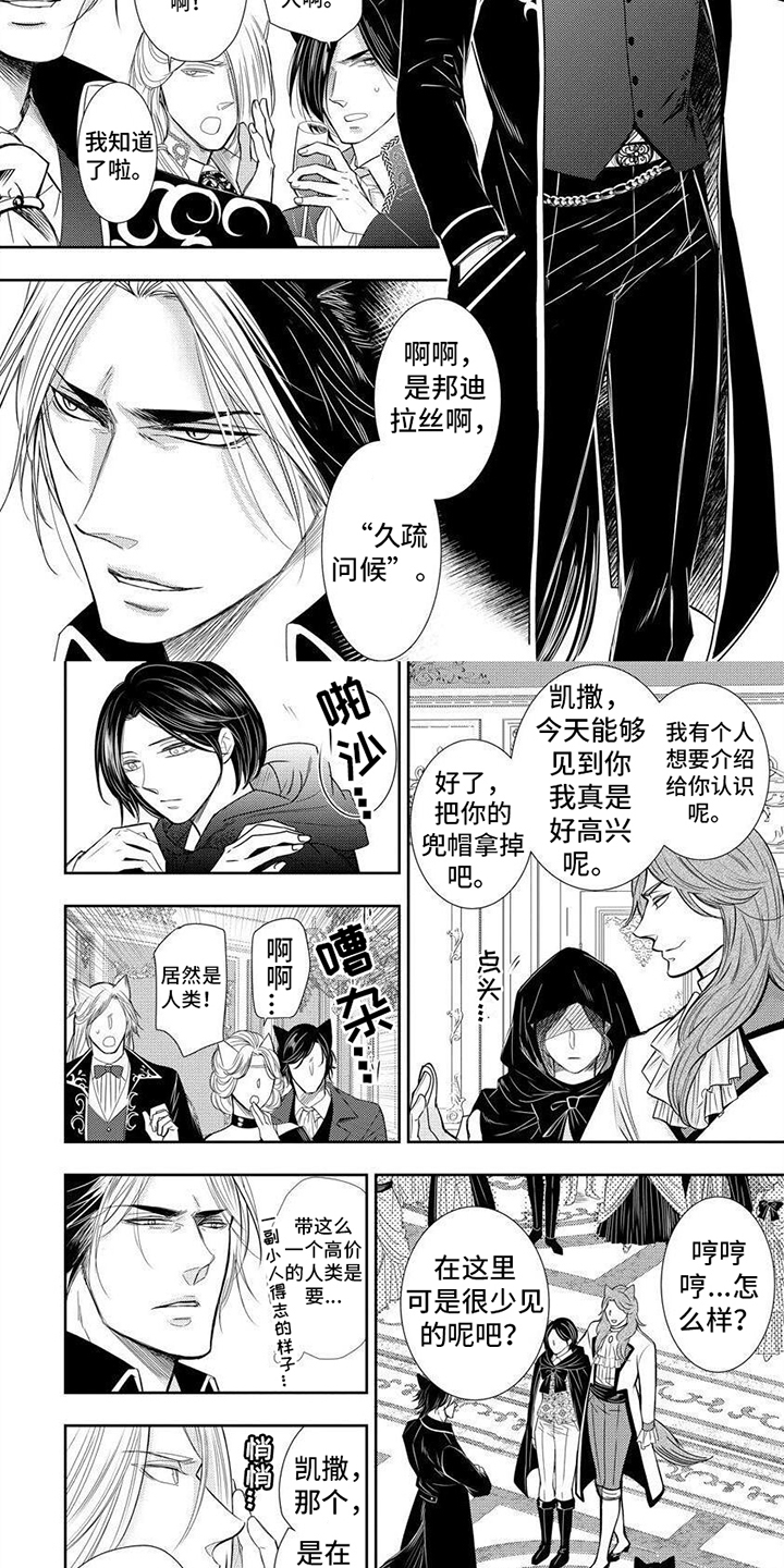 第1章：兽人王国1