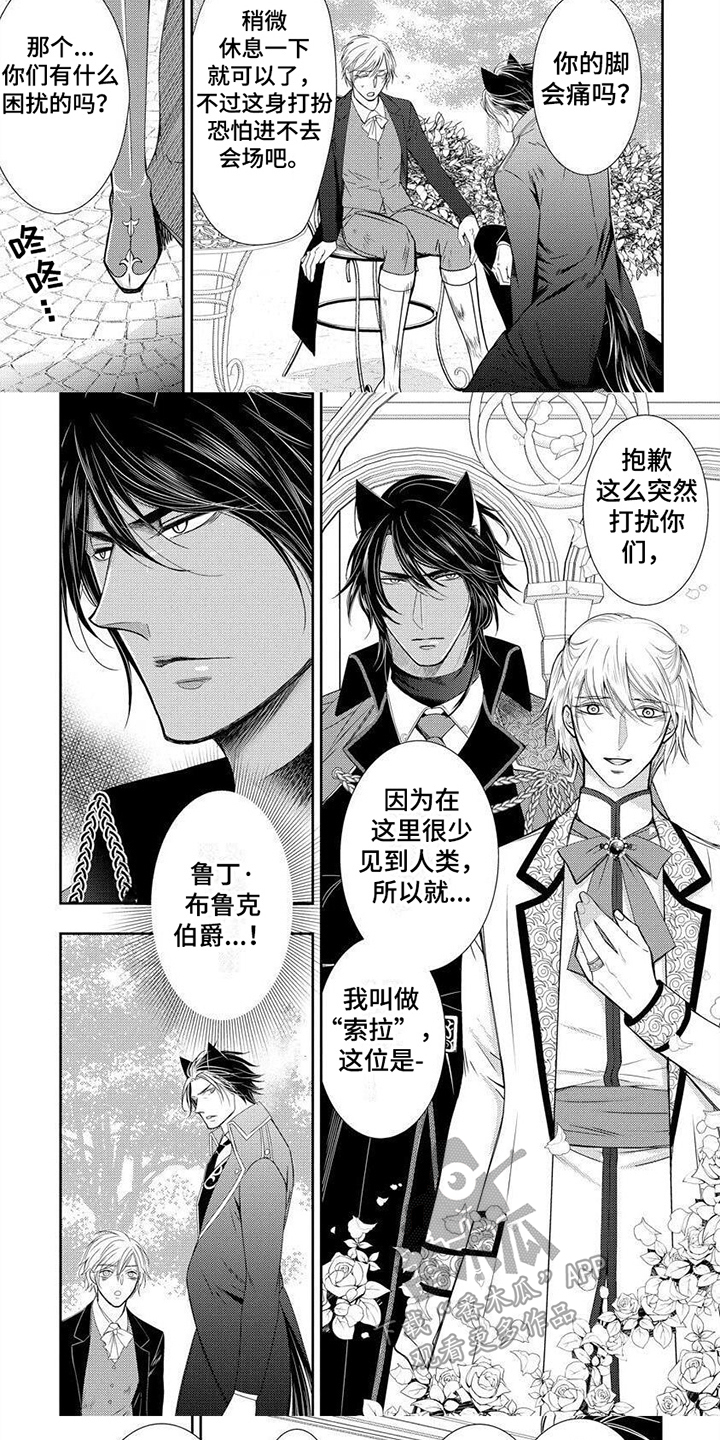 第17章：主动回来4