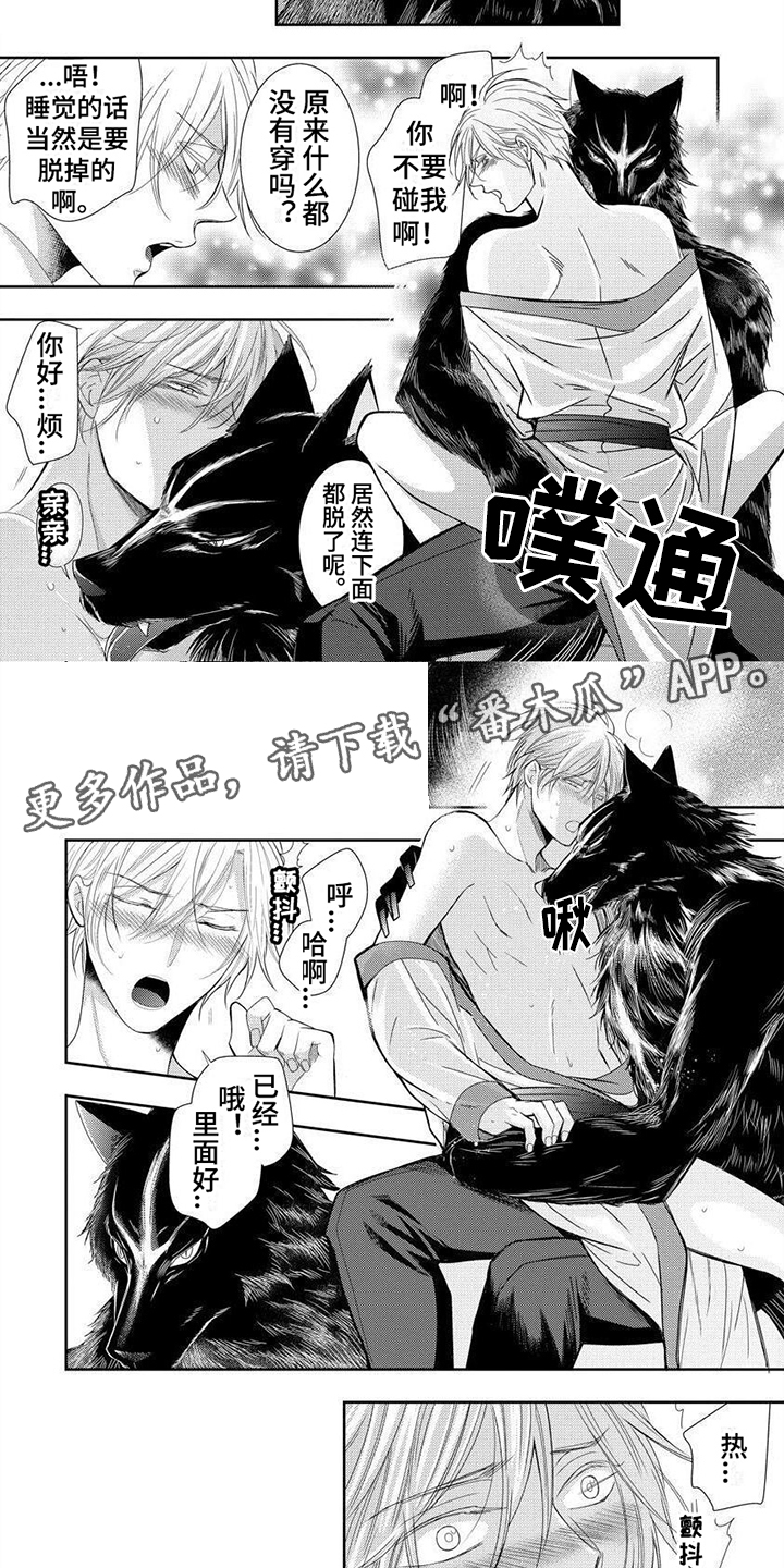 第11章：有趣的点1