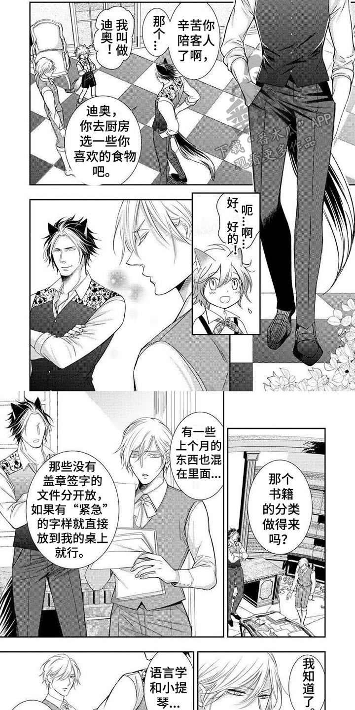 第8章：小提琴3