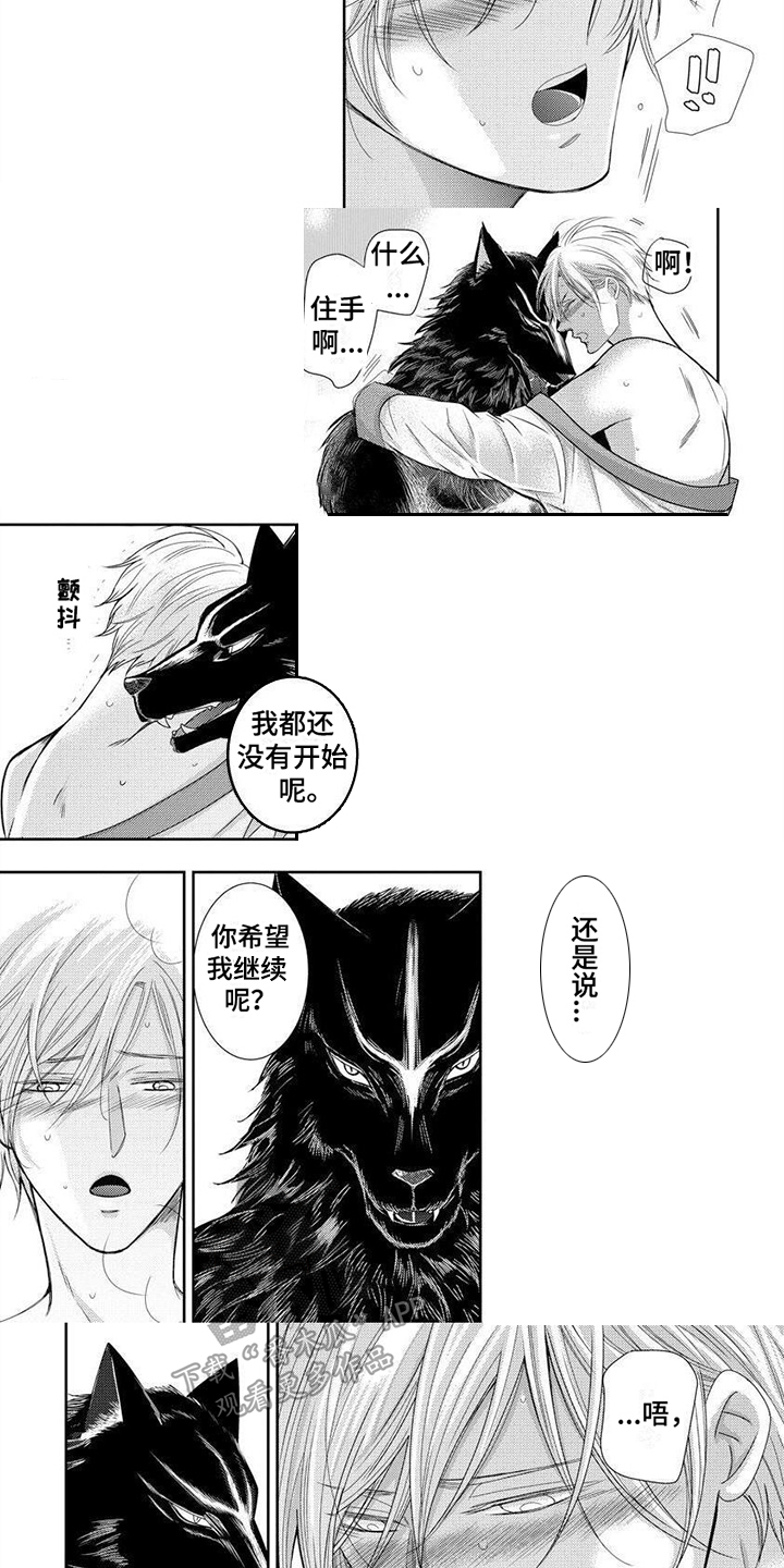 第11章：有趣的点2