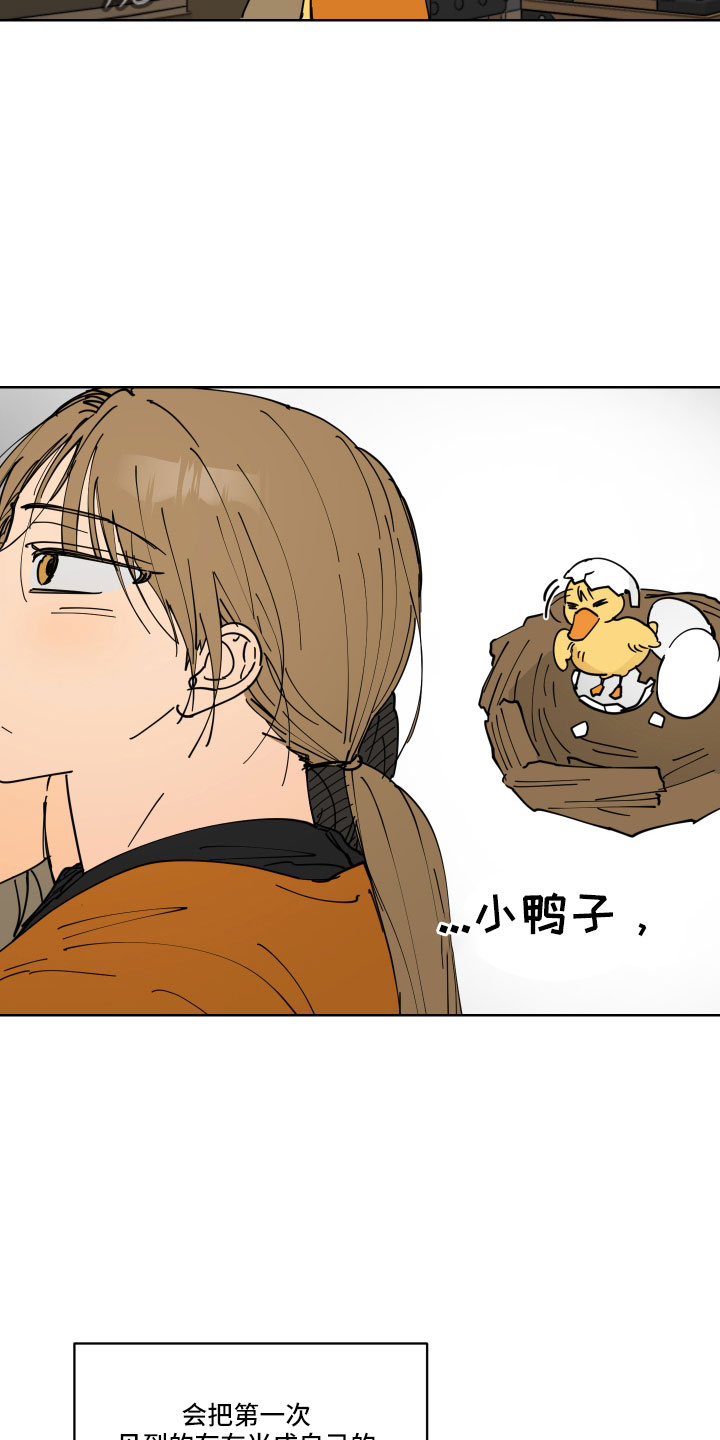 第45章：鸭子宝宝4