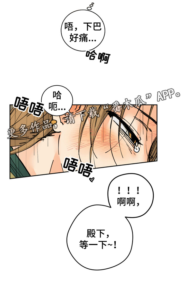 第13章：决心1