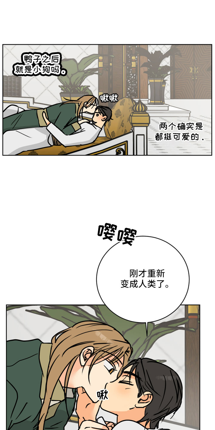 第64章：【第二季】很重要的关系3