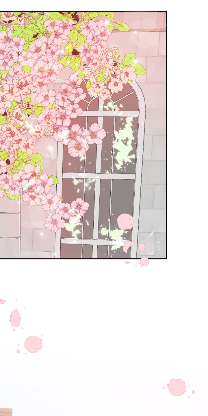 第113章：步入婚礼0