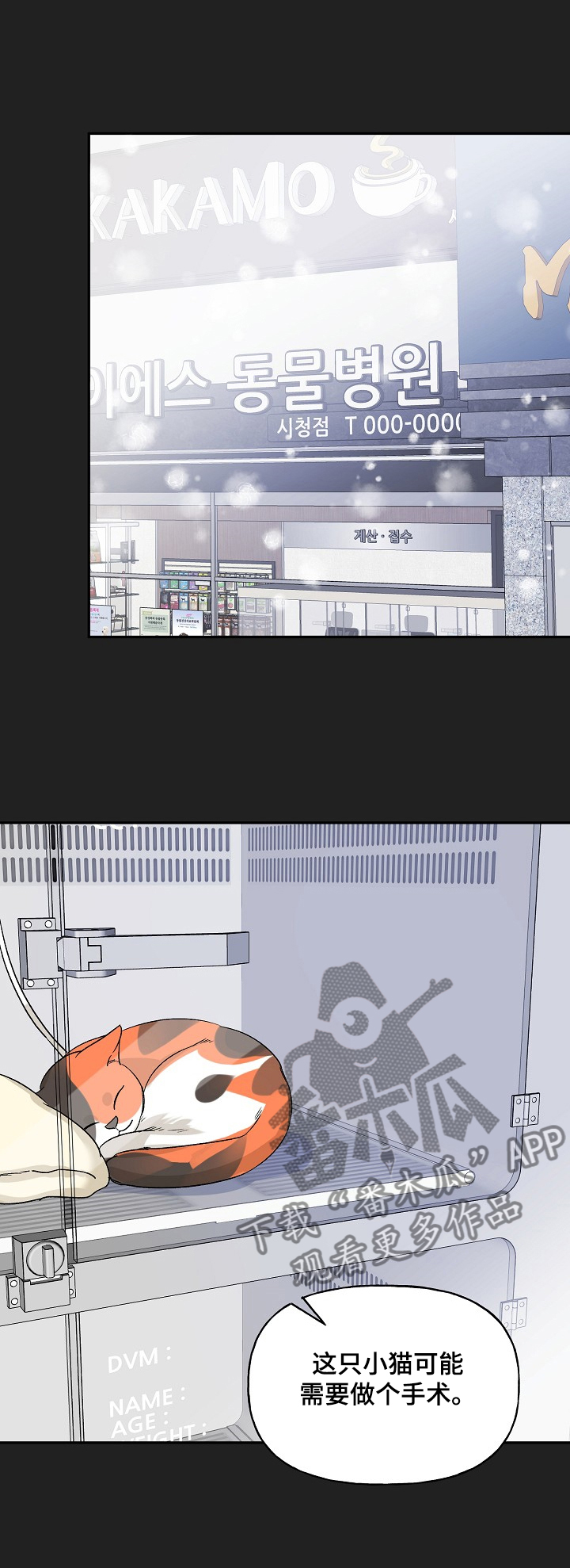 第81章：互相牵挂0