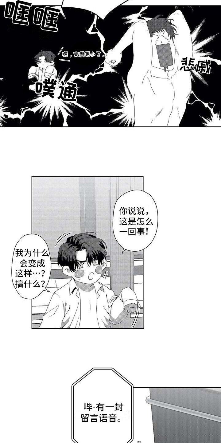 第5章：变小了4