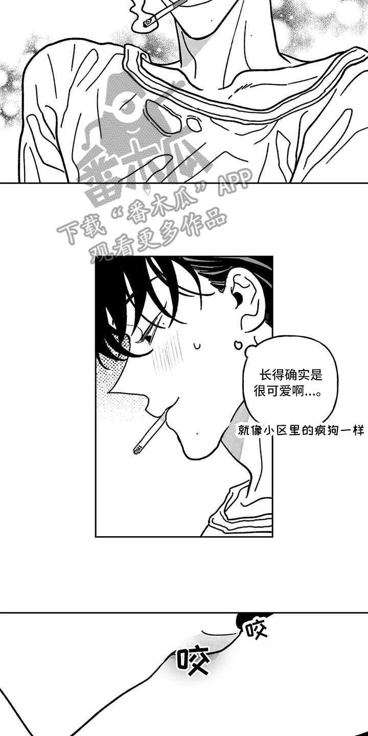 第12章：心情不坏1