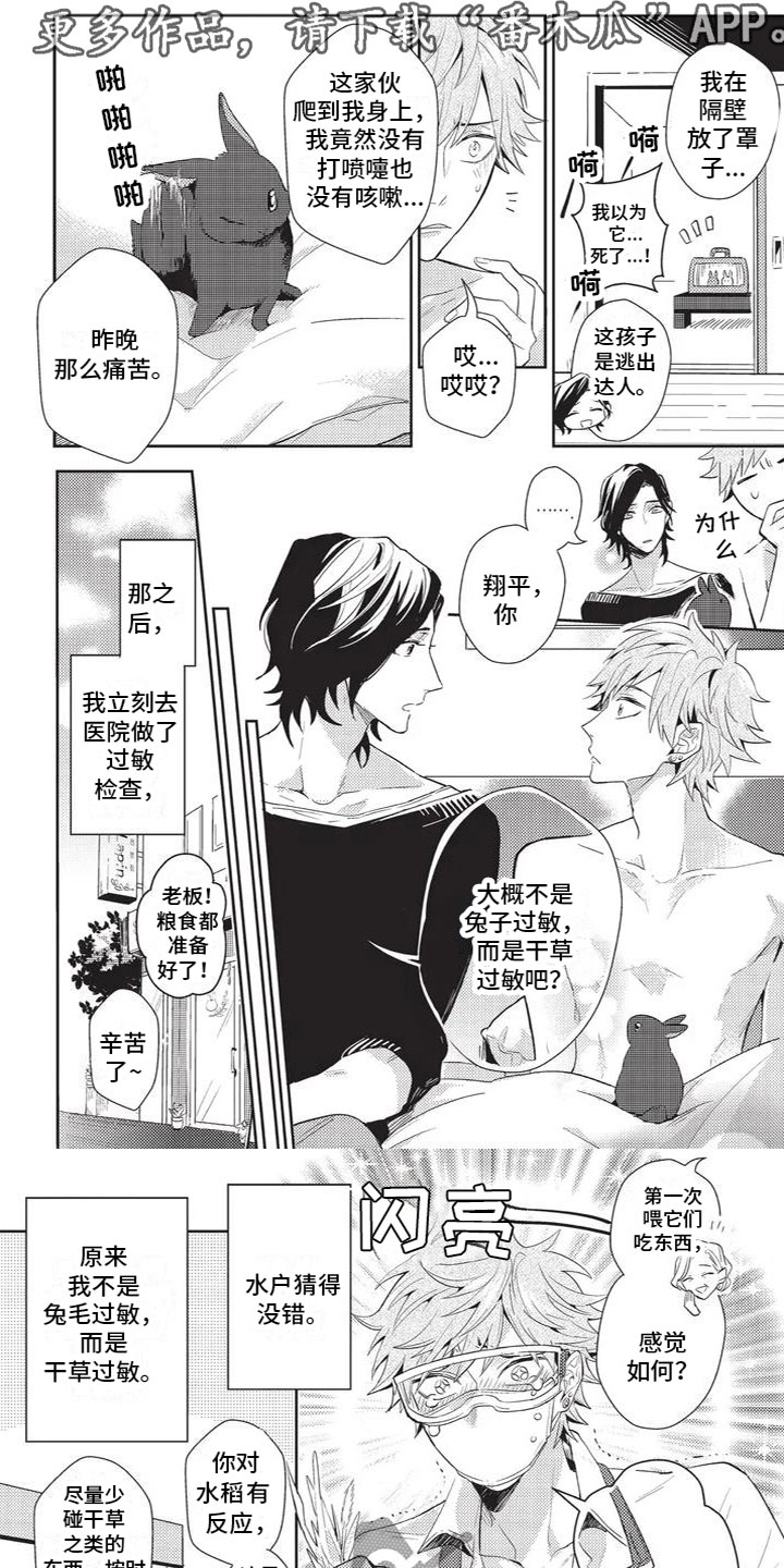 第6章：好幸福0