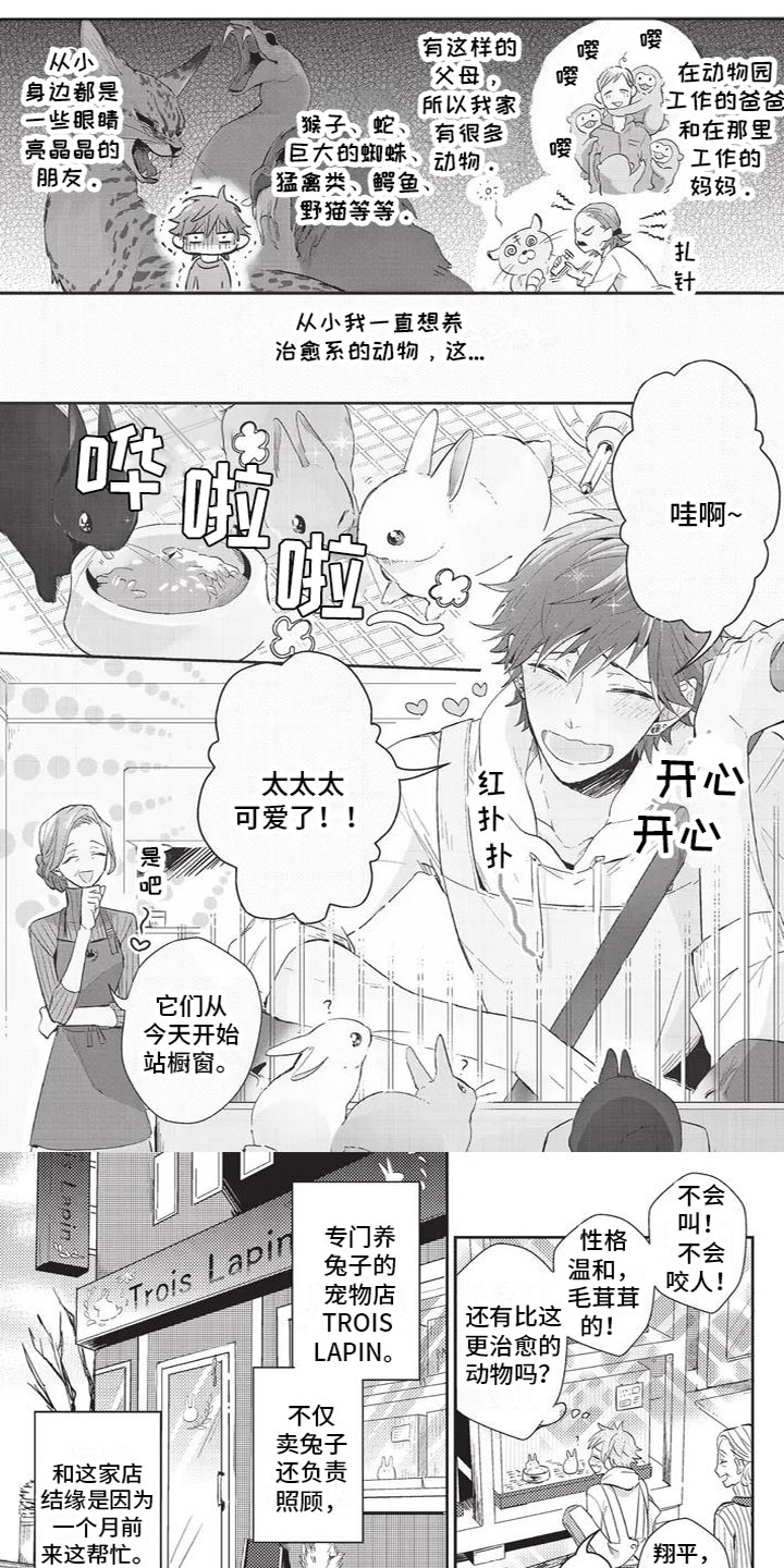 第1章：兔毛过敏0