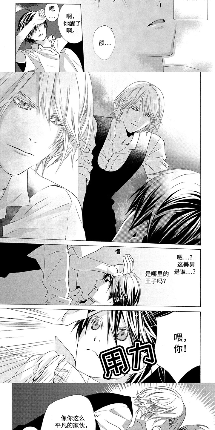 第2章：下任家主2