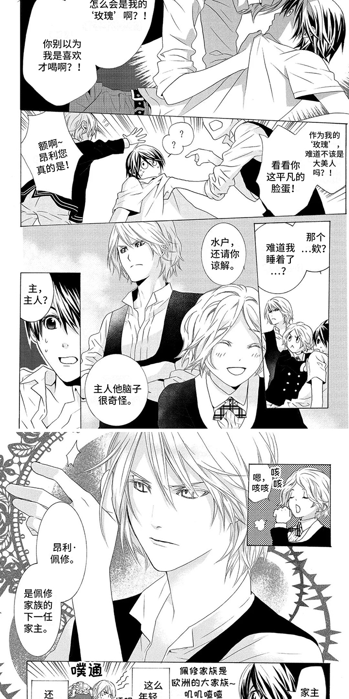 第2章：下任家主3