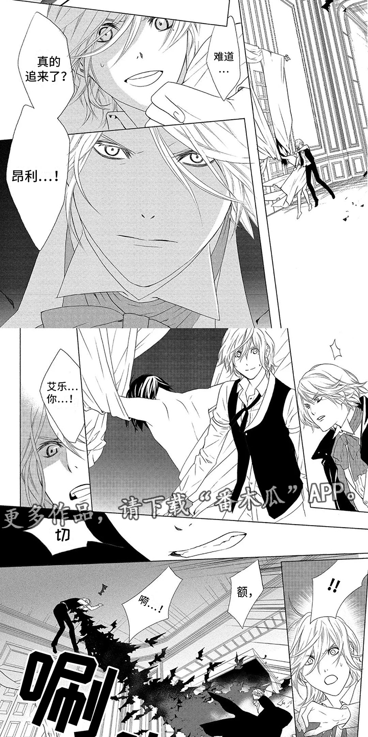 第20章：福音玫瑰1