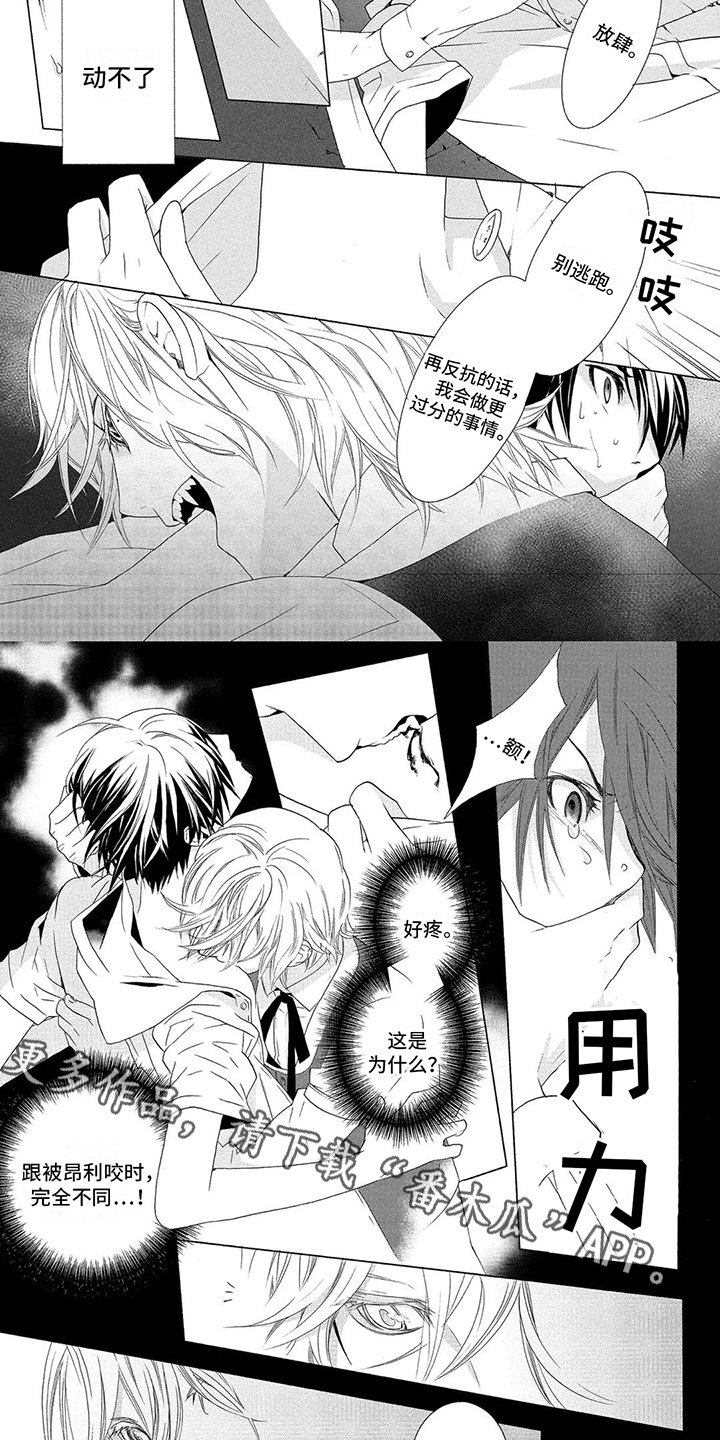 第14章：动不了1