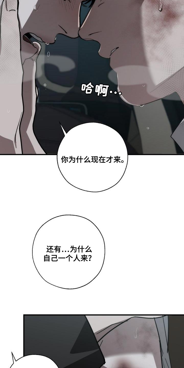 第195章：以防万一2