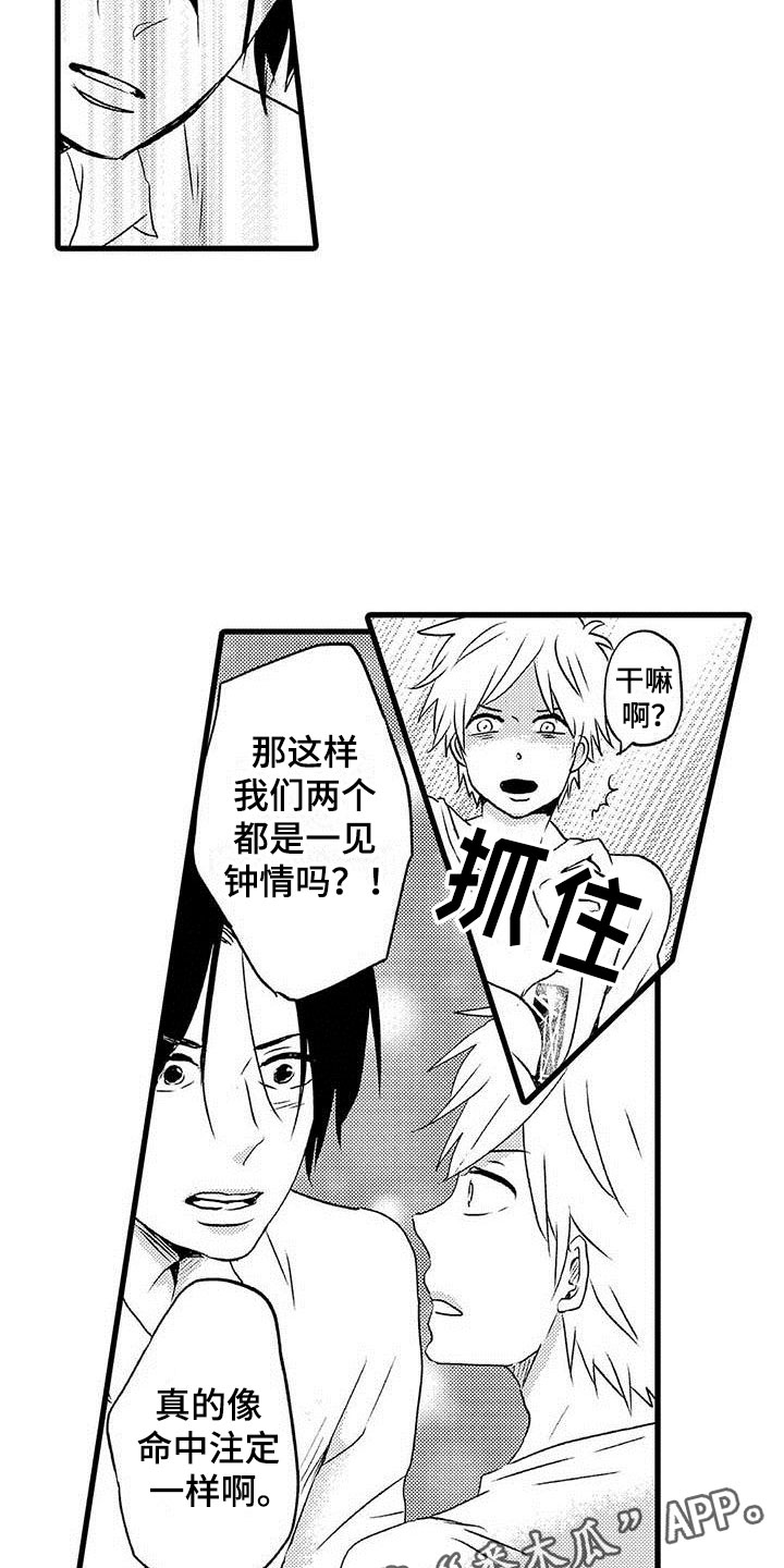 第11章：命中注定：一见钟情1