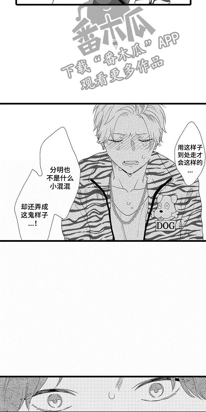 第21章：一个傻瓜3