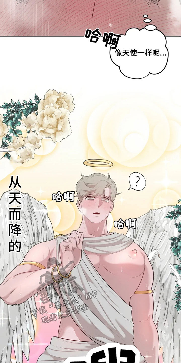 第44章：像天使1