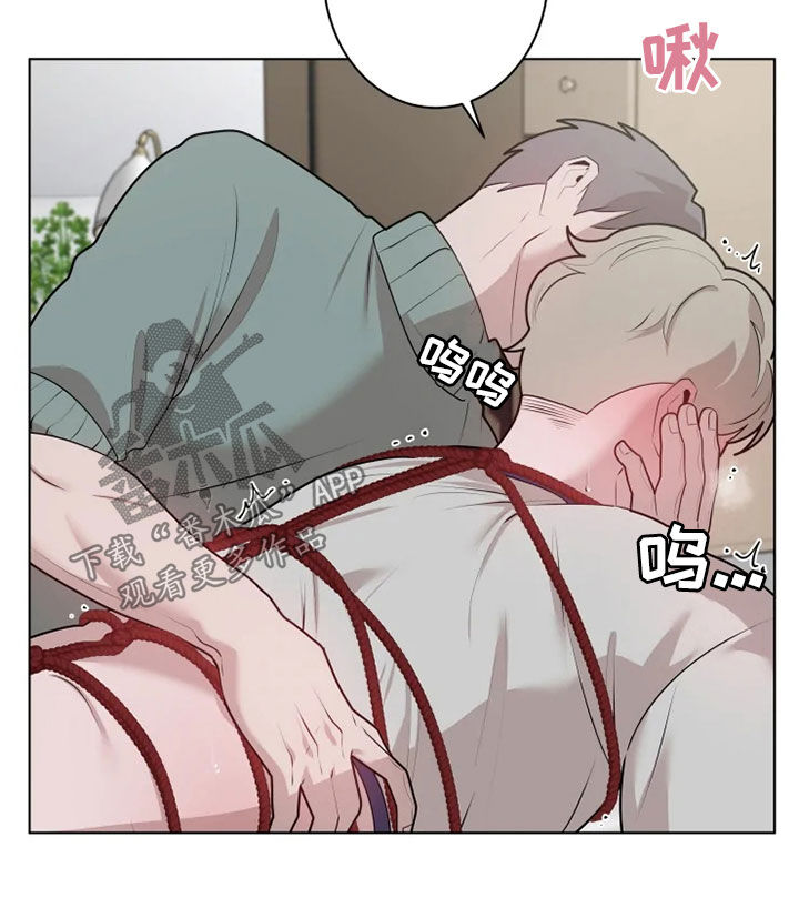 第43章：真漂亮3